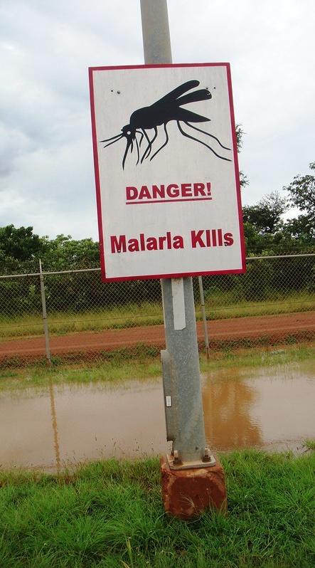 Malaria kills sign