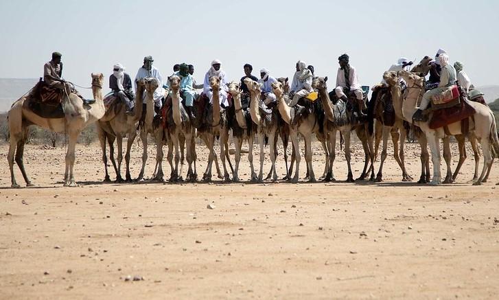 Camel riders in Africa