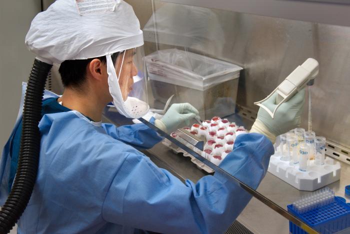A CDC scientist harvests H7N9 virus for sharing with partner laboratories