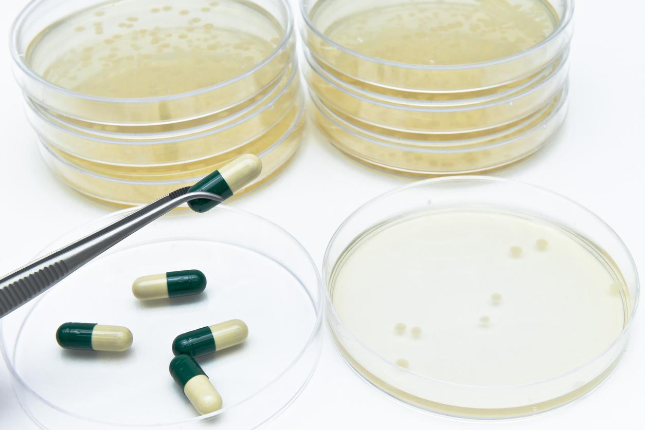 Antibiotics and petri dishes