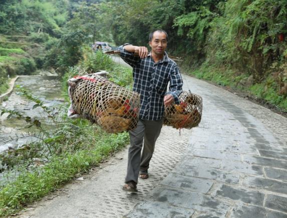 Man carrying chckens