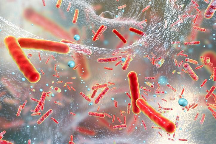 Multidrug-resistant bacteria biofilm