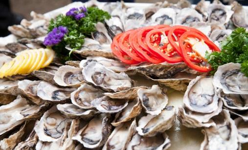 Plate of oysters