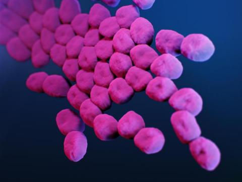 Carbapenem-resistant Acinetobacter baumannii