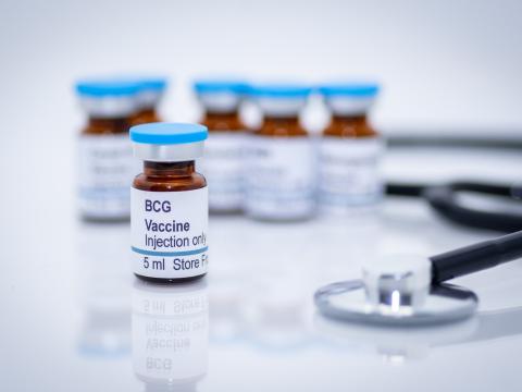 BCG vials
