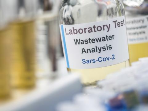 wastewater sample