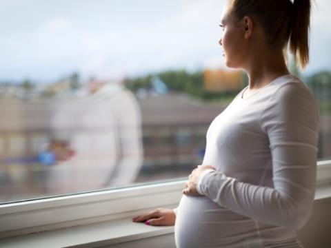 Pregnant woman at window