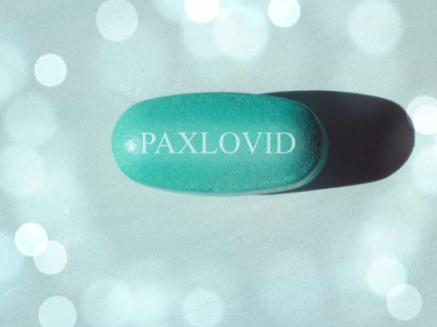 Single Paxlovid pill