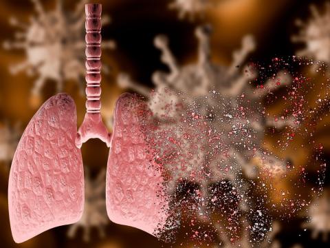 Viruses causing damage to lungs illustration