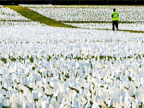 Field of white flags signifying US COVID deaths