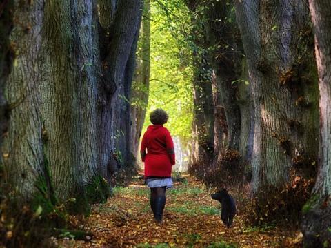 Woman walking dog under trees