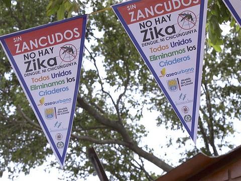 Zika banners