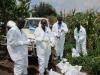 Environmental testing in Uganda