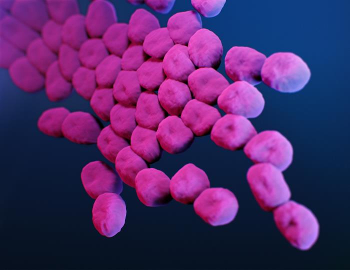 Carbapenem-resistant Acinetobacter