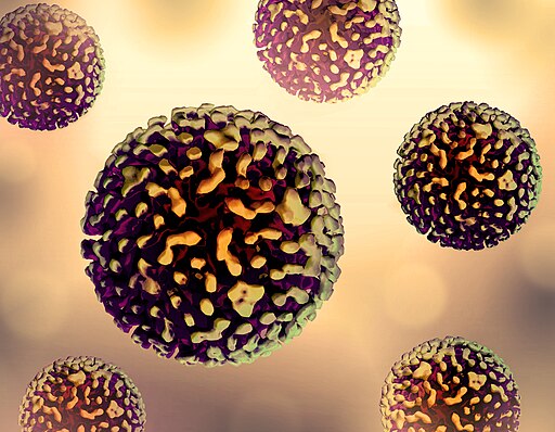 Hepatitis B illustration