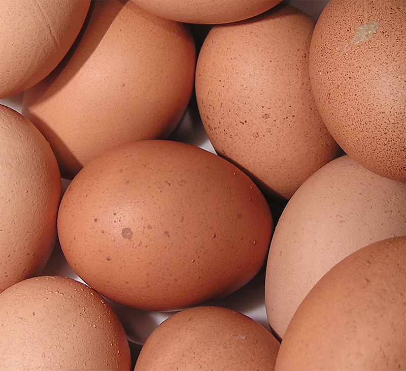 Brown eggs