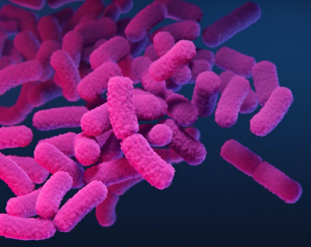 Carbapenem-resistant Klebsiella pneumoniae