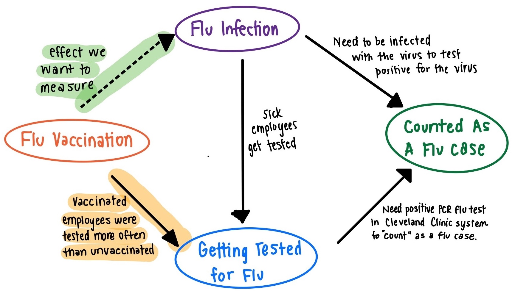 Graph showing flu vaccination and infection