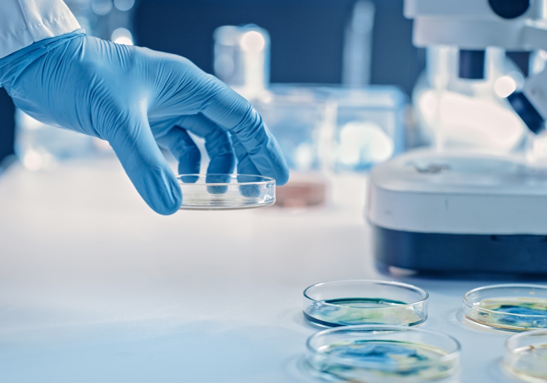 gloved hand with petri dishes in lab