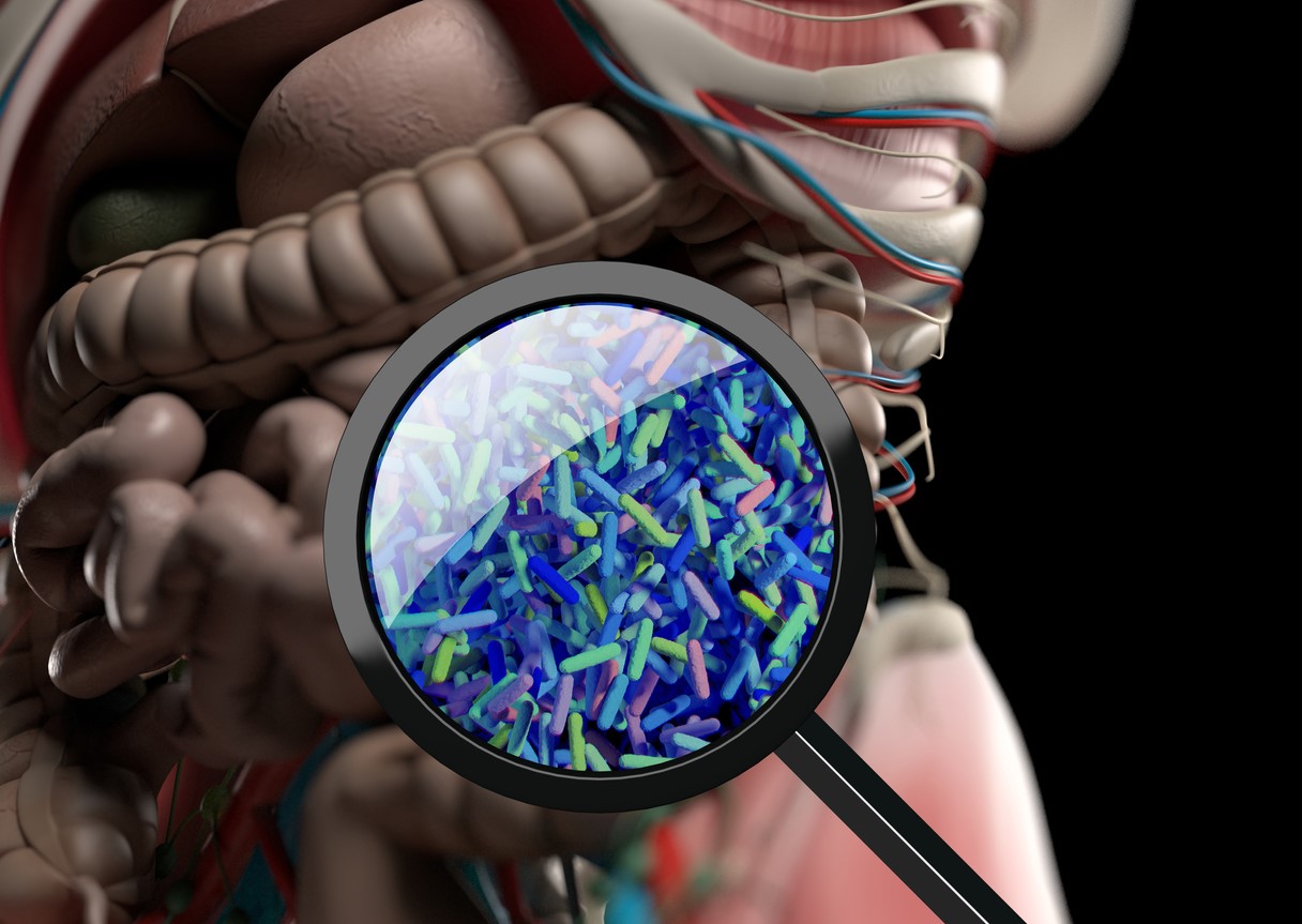 Gut microbiome illustration