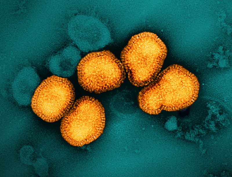 H3N2 viruses