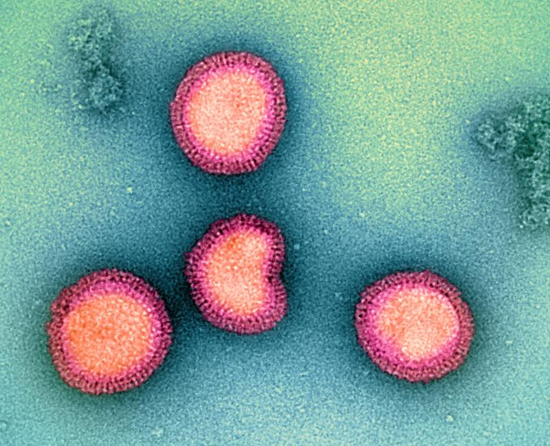 flu virus