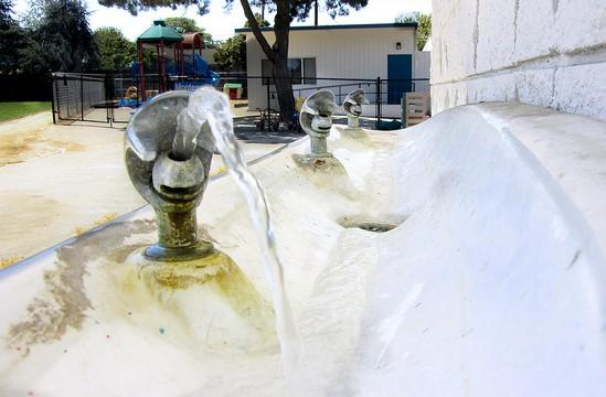 Contaminated drinking fountain