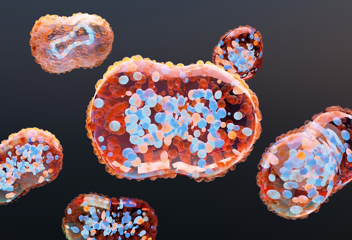 Mpox viruses