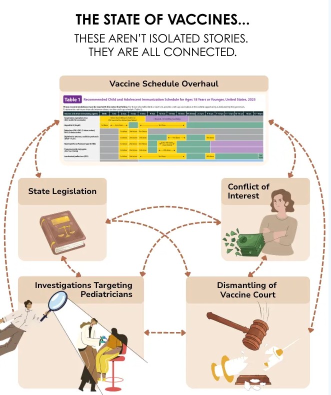 Infograph state of vaccines