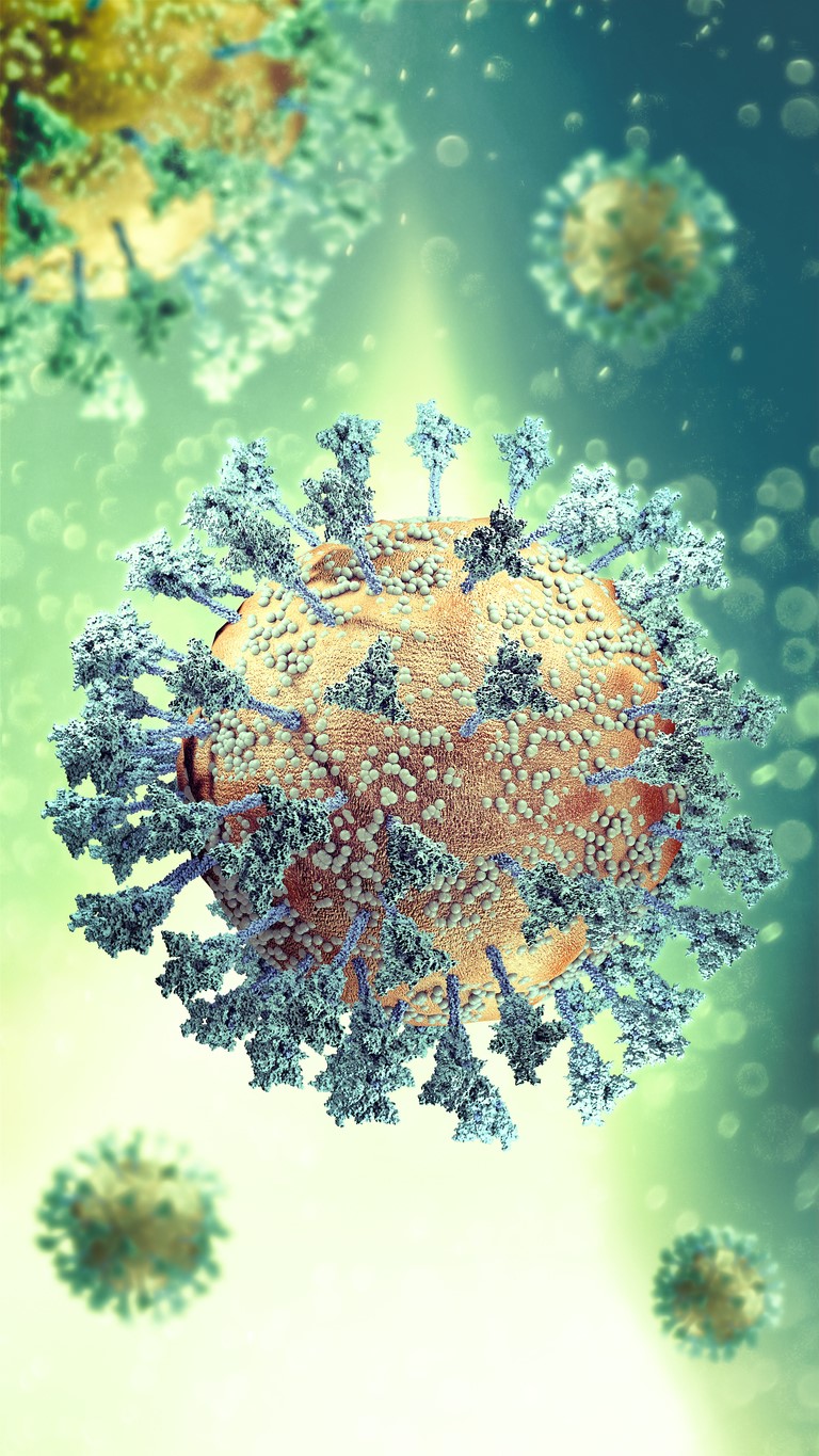 SARS-CoV-2 spike proteins