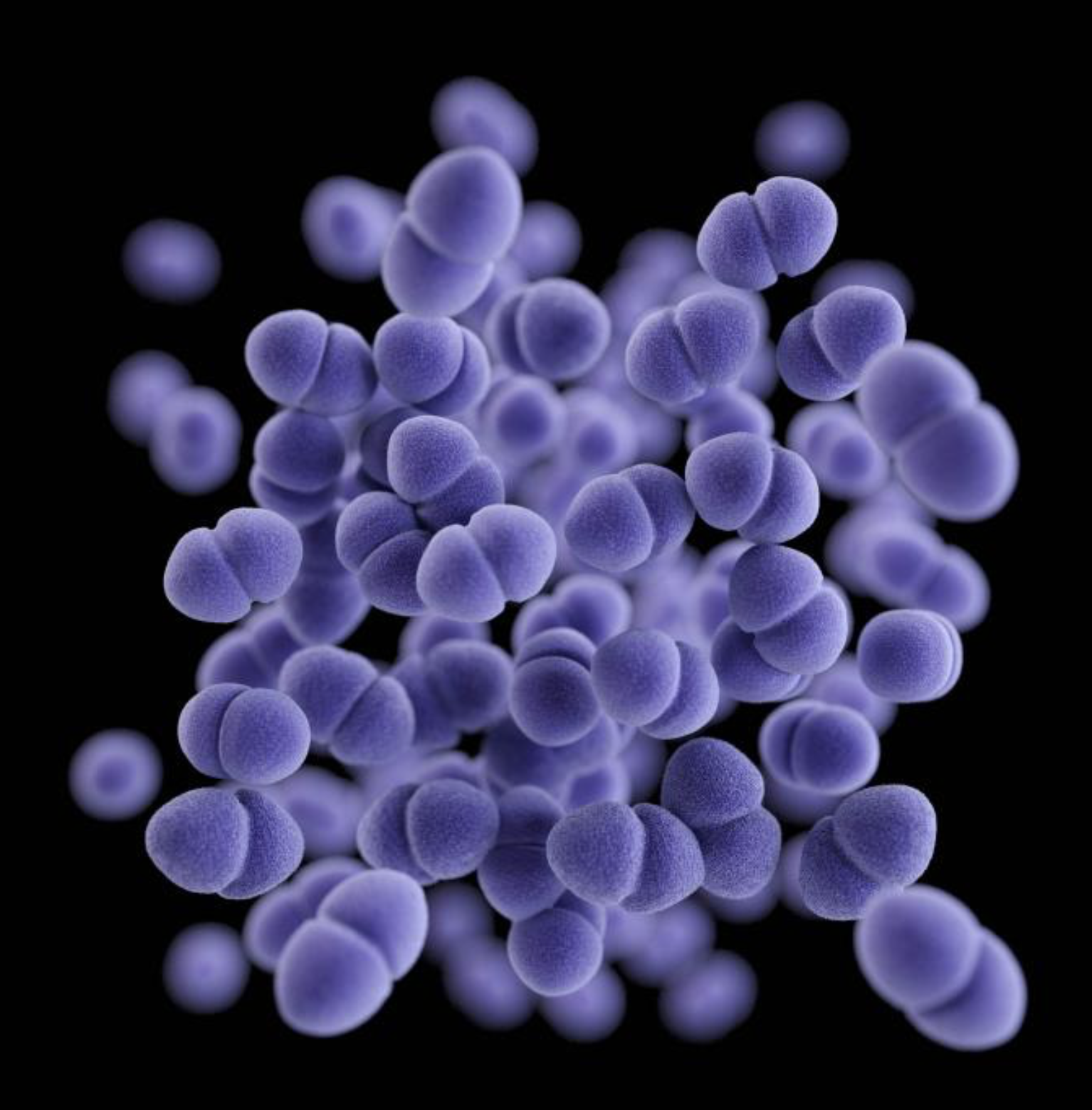 Vancomycin-resistant Enterococcus