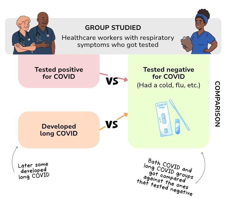 Groups studied test-negative design