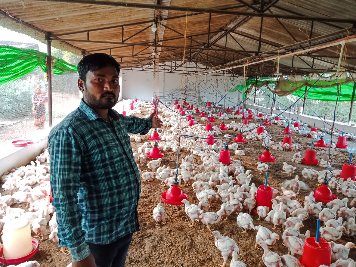 Chicken farmer in India