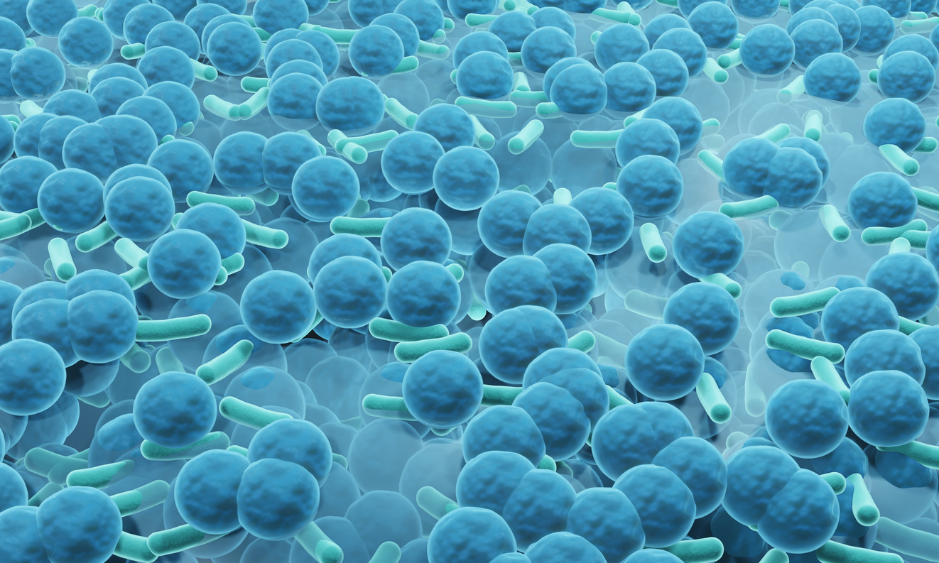 Bacterial biofilm