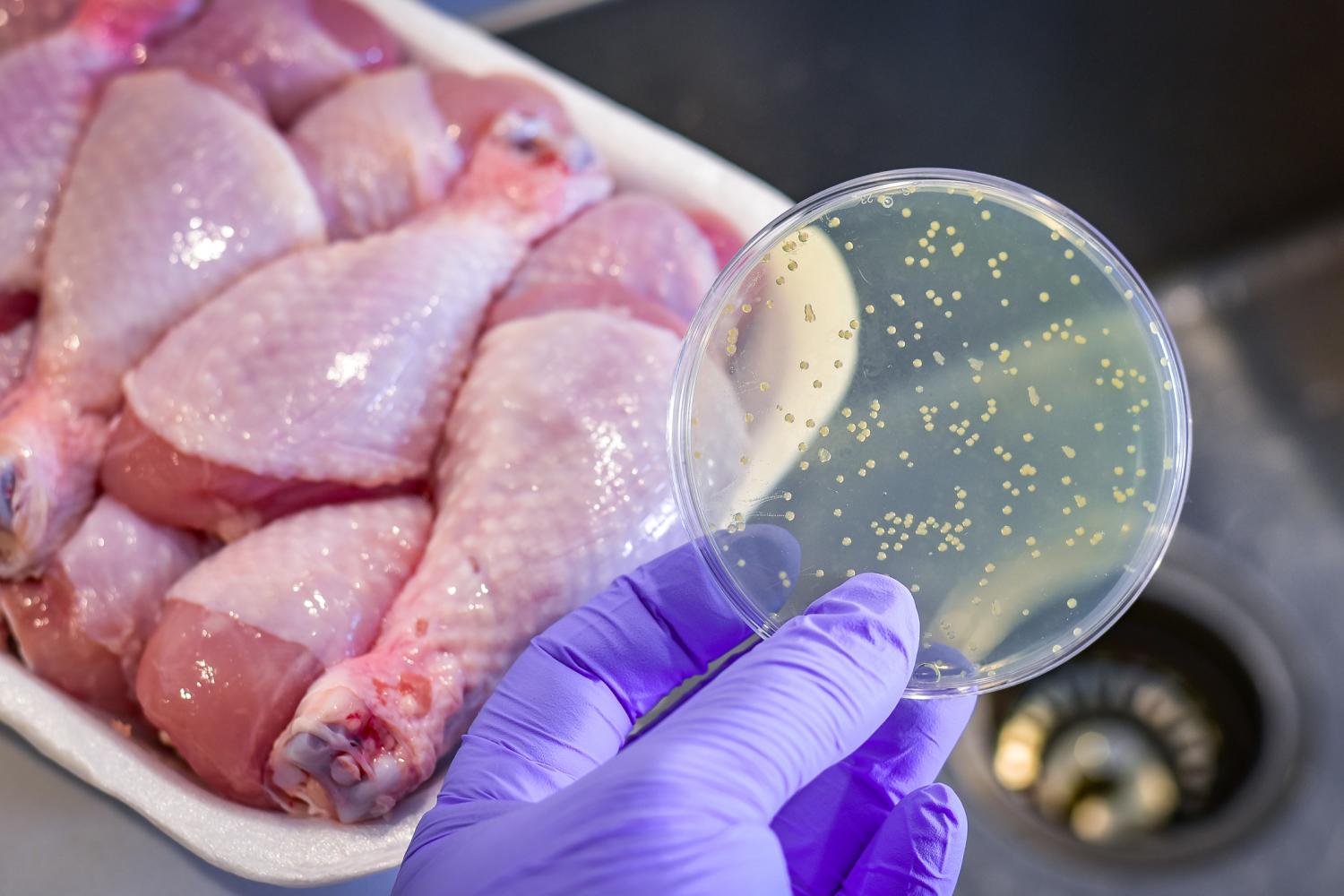 Bacteria in raw poultry products