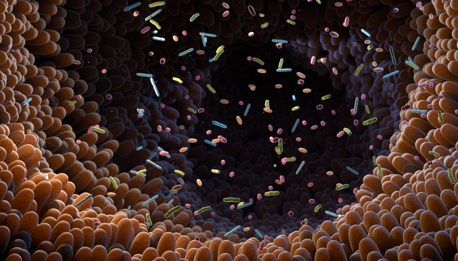 gut microbiome