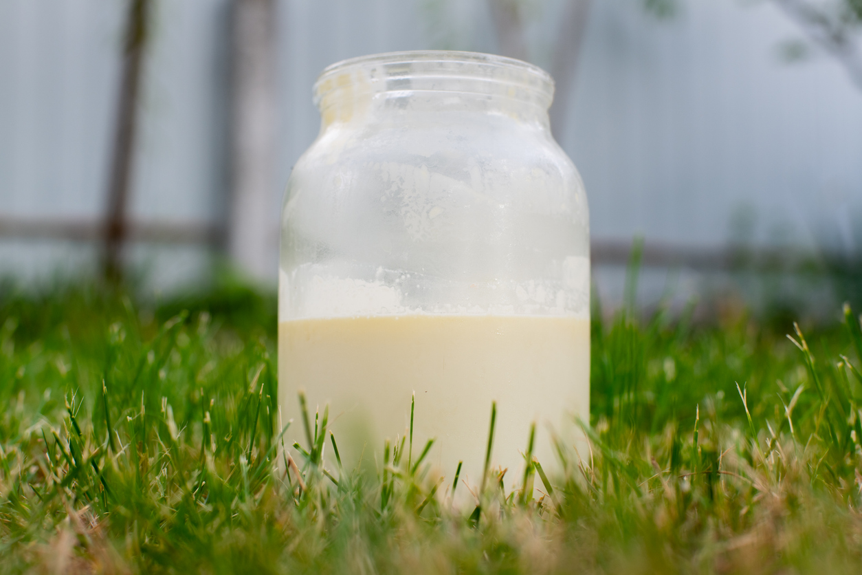 glass of raw milk