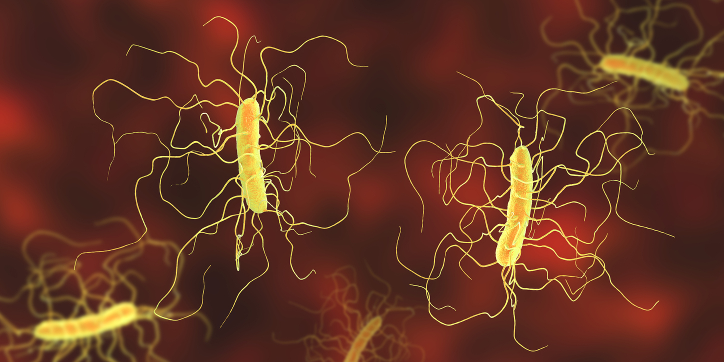 C difficile illustration