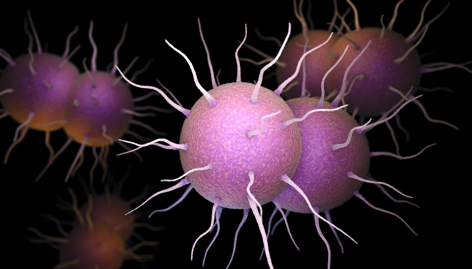 Gonorrhea illustration