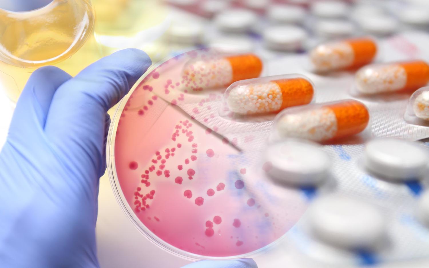 Illustration of blue gloved hand hold petri dish with resistant bacteria and capsules