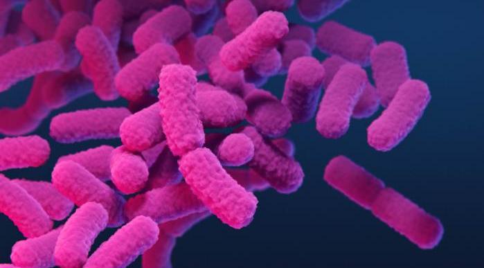 Carbapenem-resistant Enterobacterales