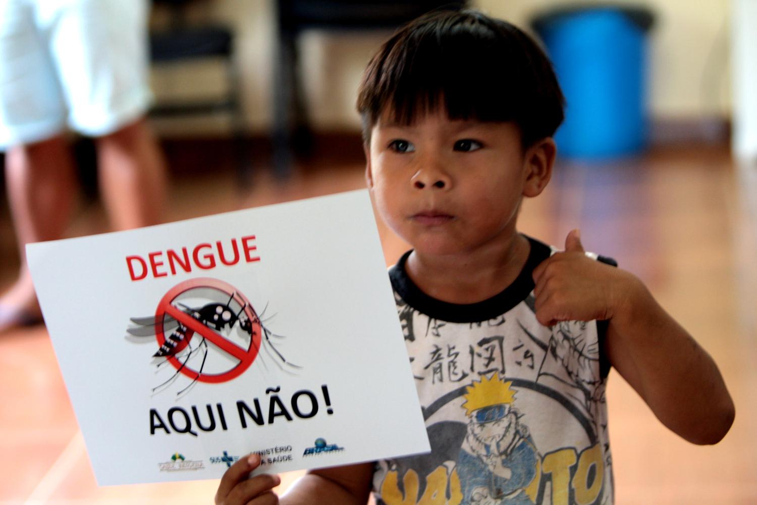 dengue 