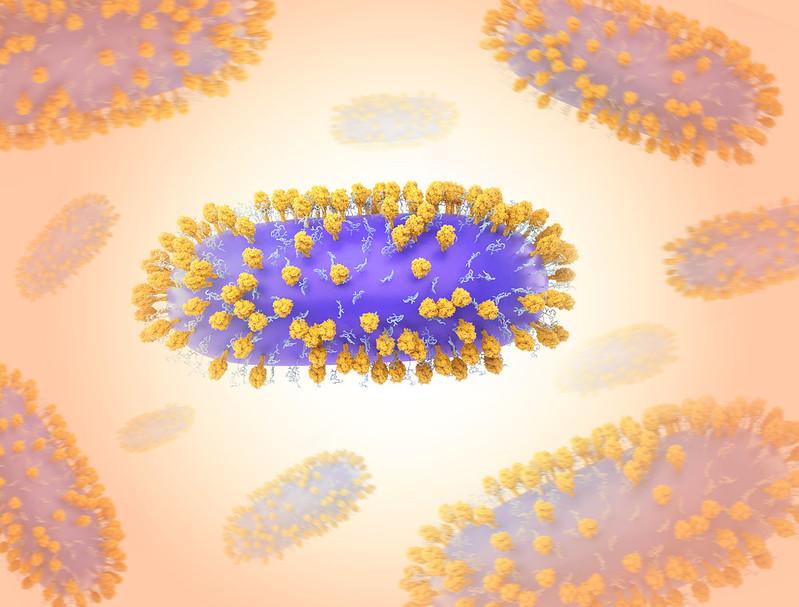 RSV cells
