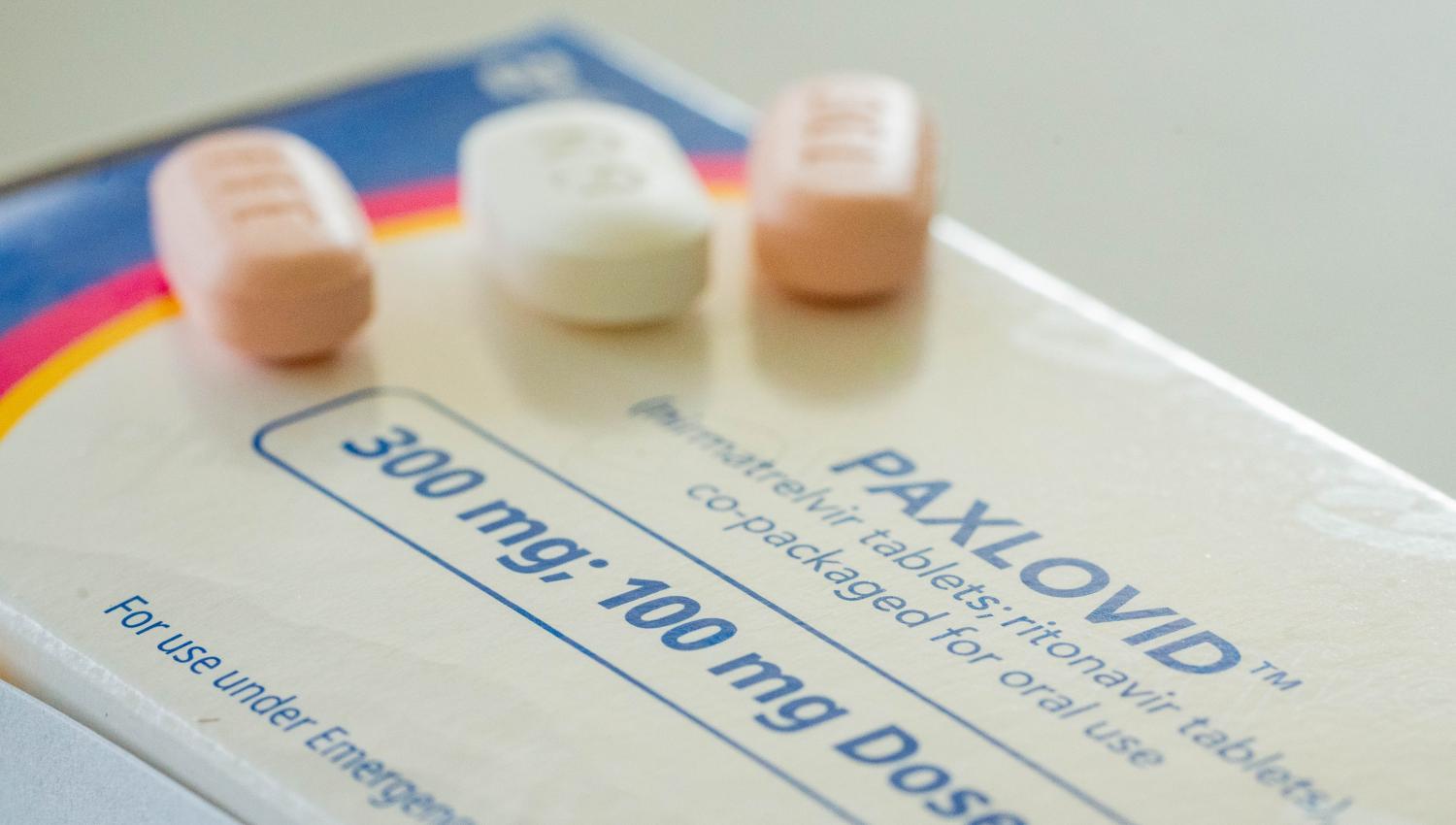 paxlovid pills