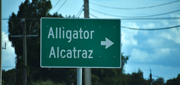 Alligator Alcatraz