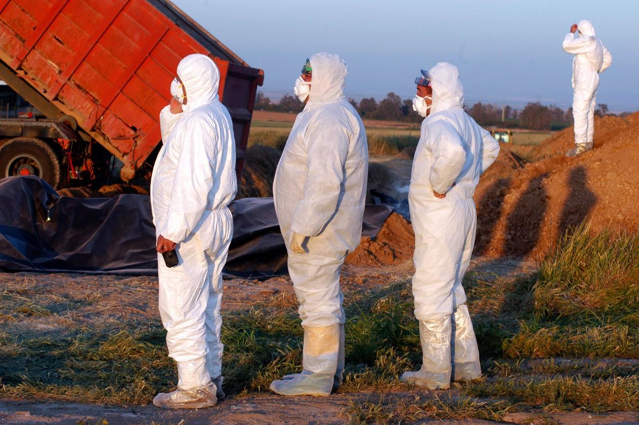 Avian flu outbreak response