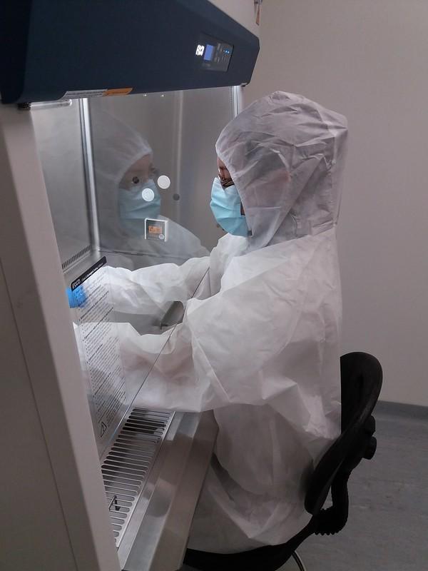 BSL-2 lab worker
