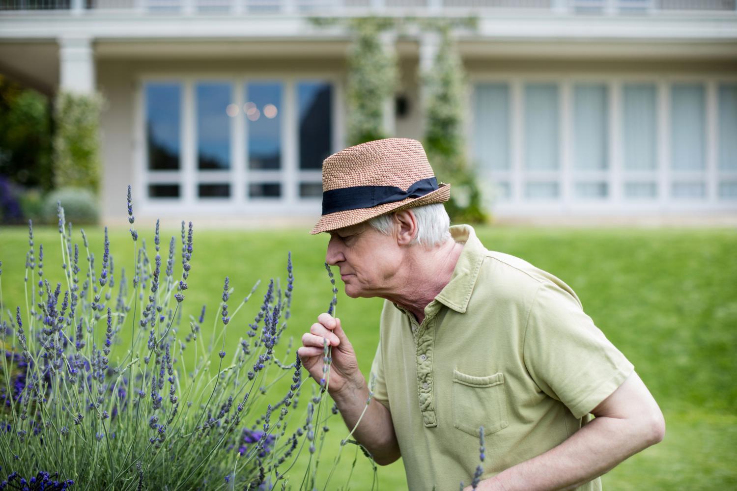 Man smelling lavender