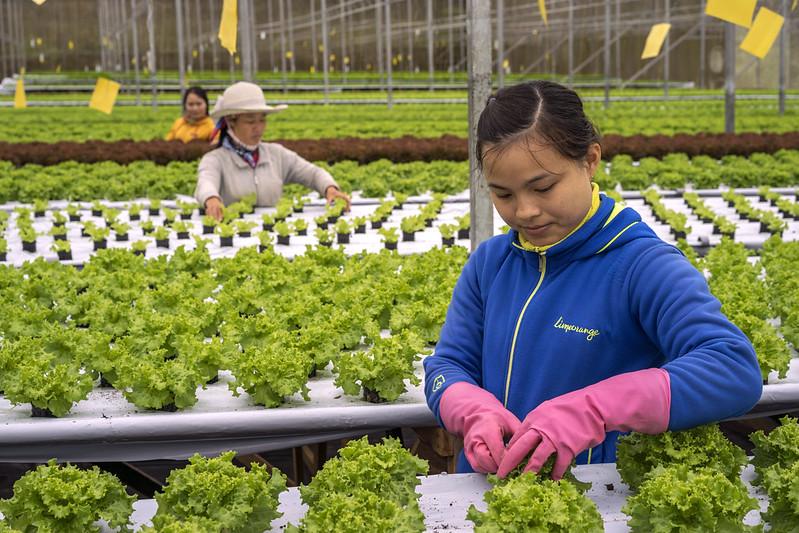 Migrant farm workers