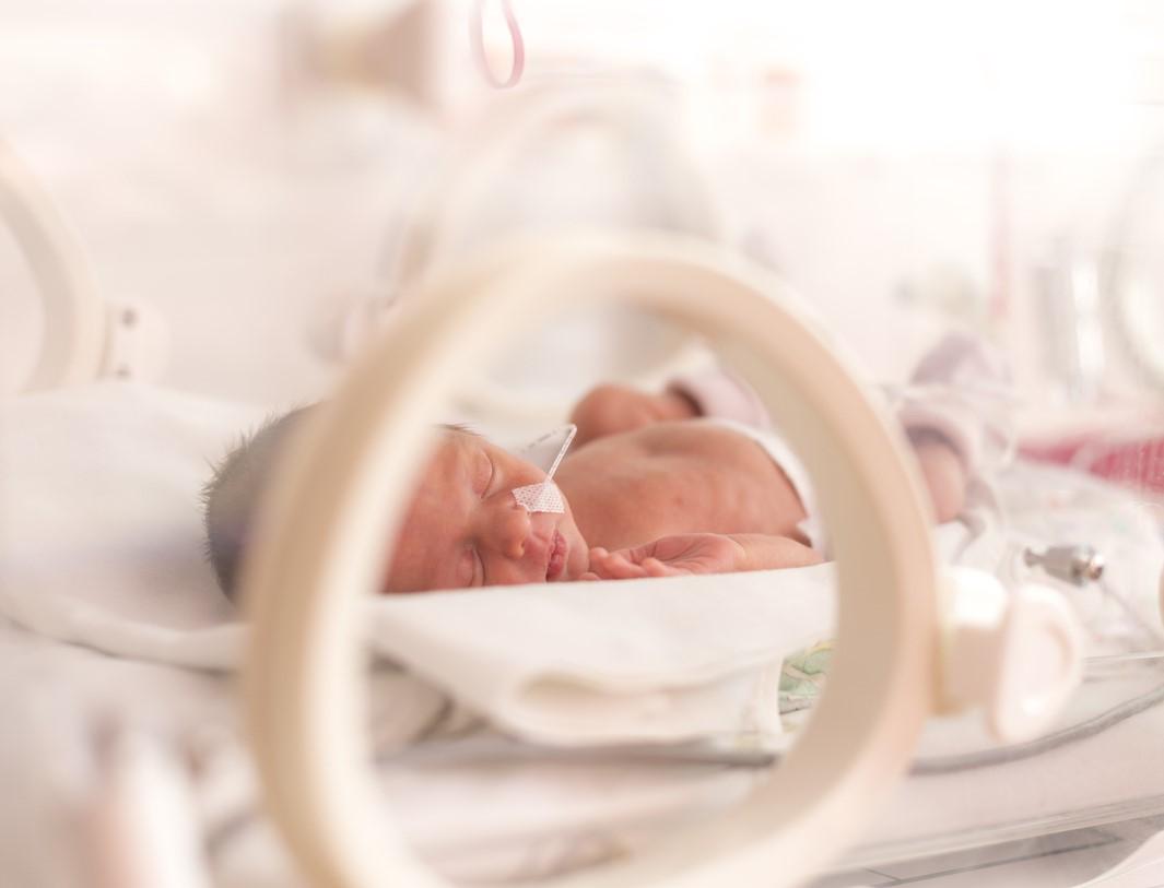 Premature infant in incubator